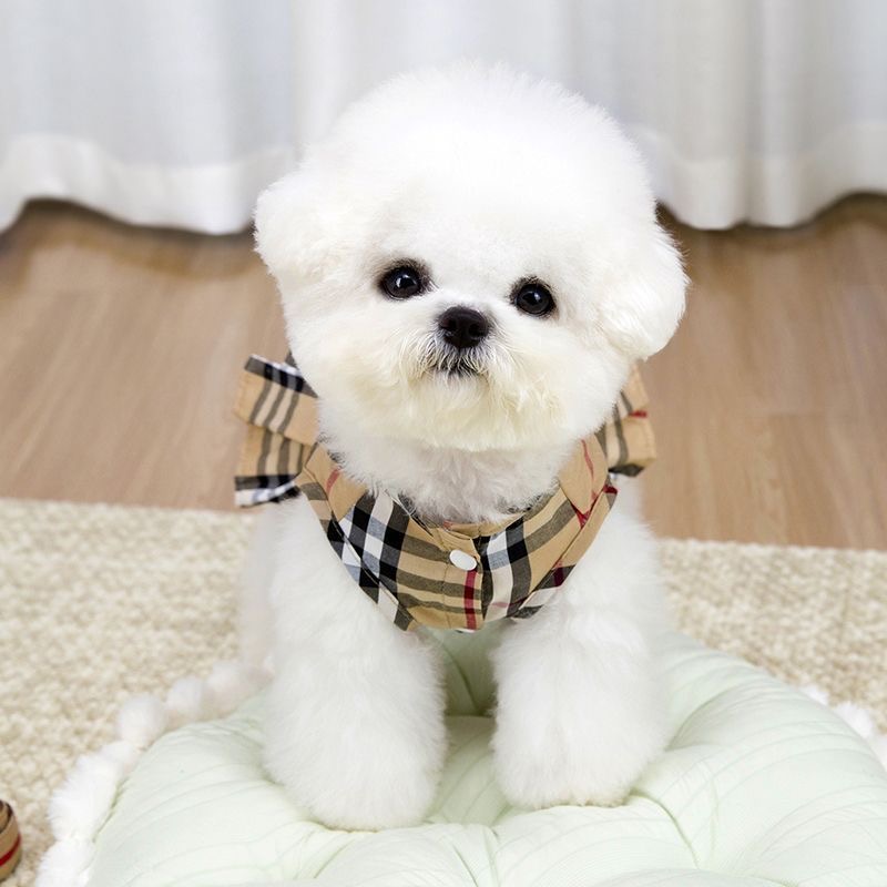 Luxury Dog Clothes Elegant Checkered Dog Harness Dress with Leash Set Stylish Plaid Pet Skirt for Small Breeds Bichon Frise Yorkie Birthday Gift for D