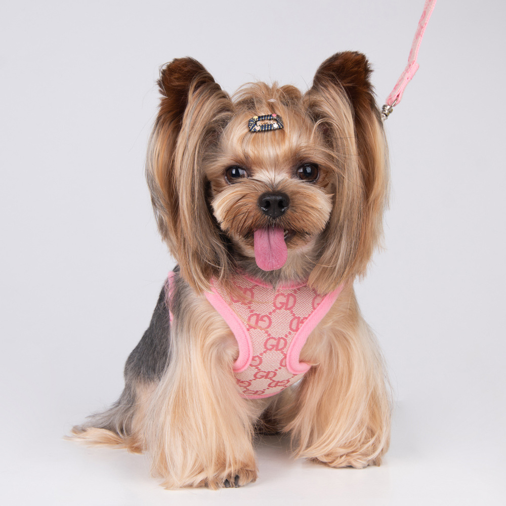 Designer Dog Harness and Leash Set - Classic Jacquard Lettering, Step-in Soft Mesh Air Vest, Pet Harness for Small Dogs, Cats, Teacup Puppies, Shih Tzu, Poodle