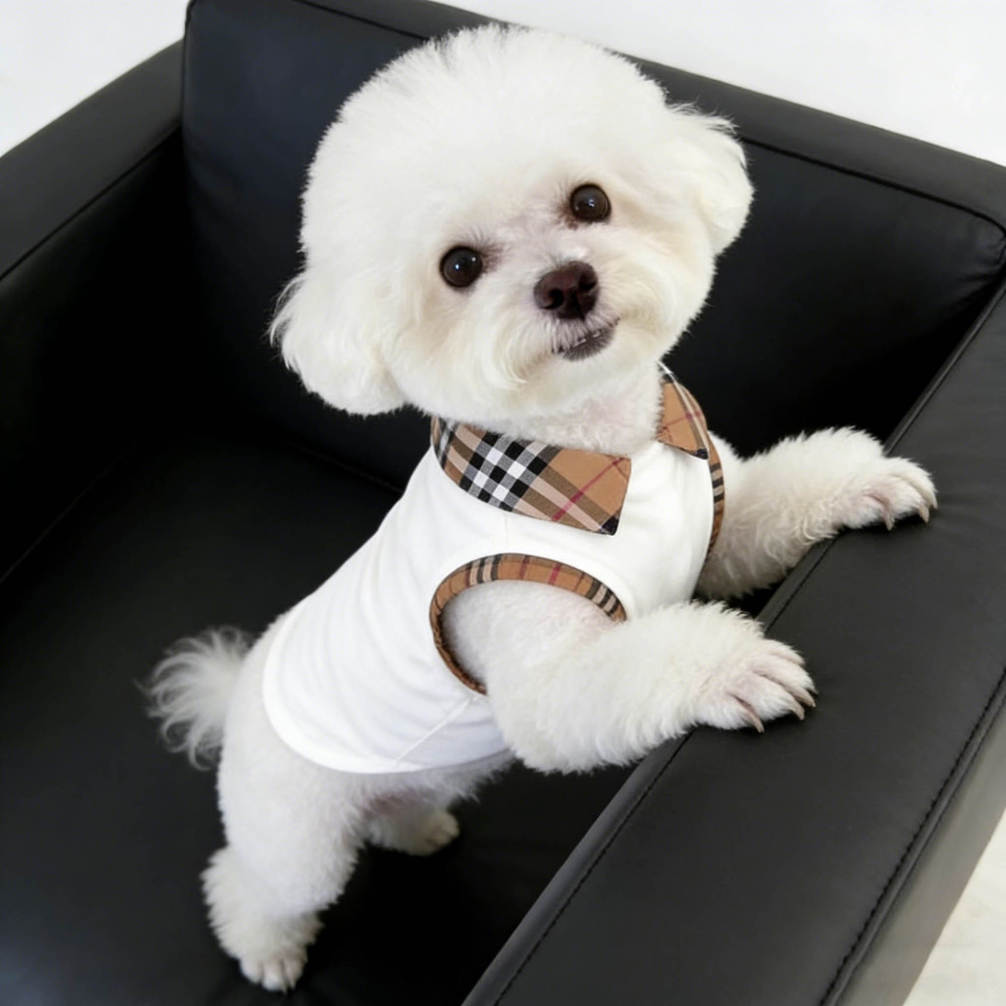 Luxury Dog Clothes Elegant Plaid Collar Pet Dog Shirt Comfortable Sleeveless Top 5 Sizes S to XXL for Small Breeds Fashion Casual Puppy Apparel Y455 - view 8