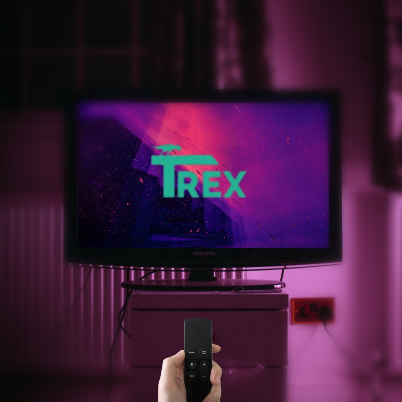 T-Rex 4K Fhd Remote Controll Wireless General For Samrt Tv Media Player Xxx Live