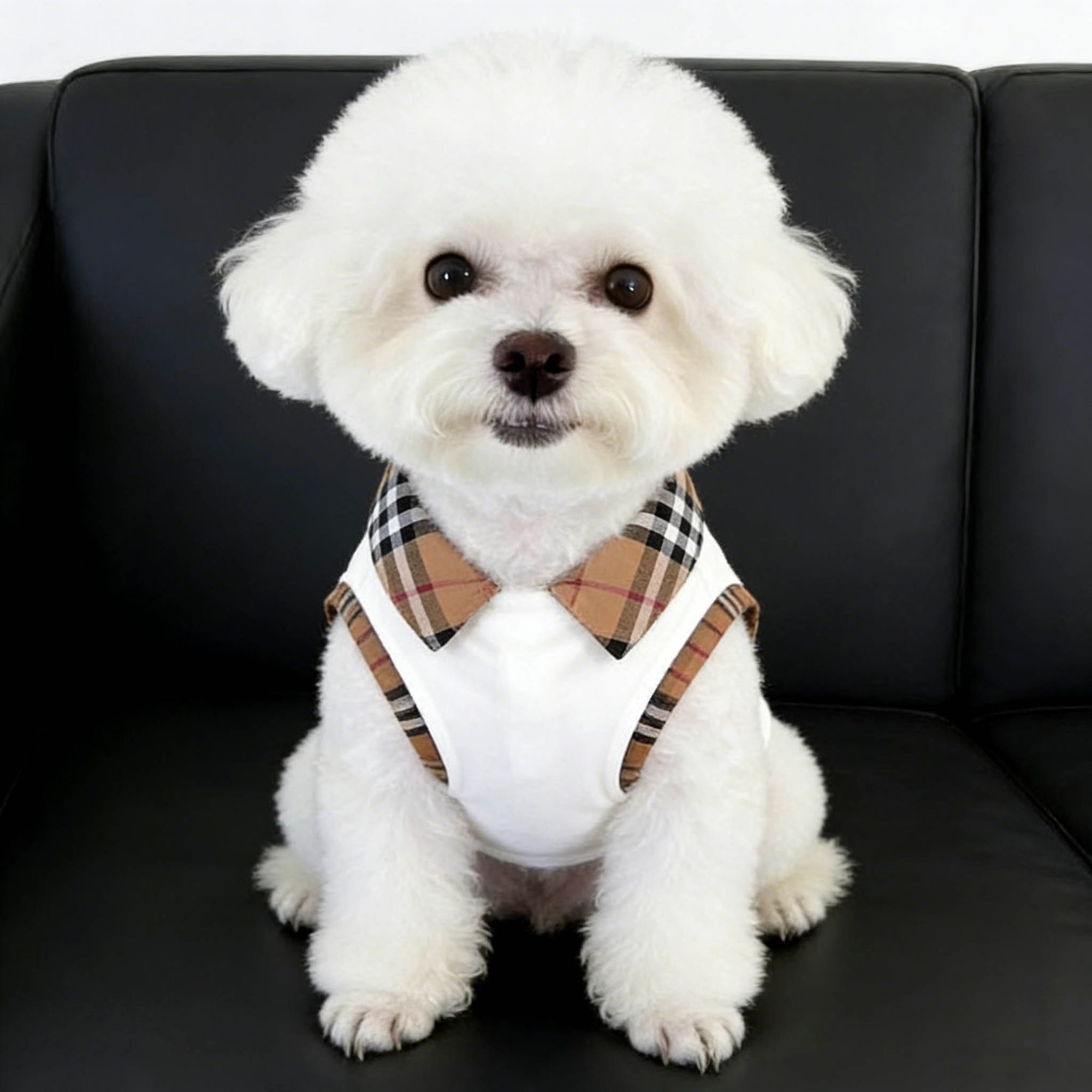Designer Dog Clothes Luxury Plaid Collar Dog Shirt Premium Cotton Blend Sleeveless Pet Top 5 Sizes S to XXL for Small Medium Dogs Elegant Preppy Style Y455
