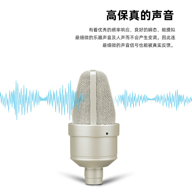 Microphones Professional Condenser Microphone Studio For PC Laptop Computer Mic Karaoke Singing Streaming Wired Mikrofon Mike Sound Microphn 221114