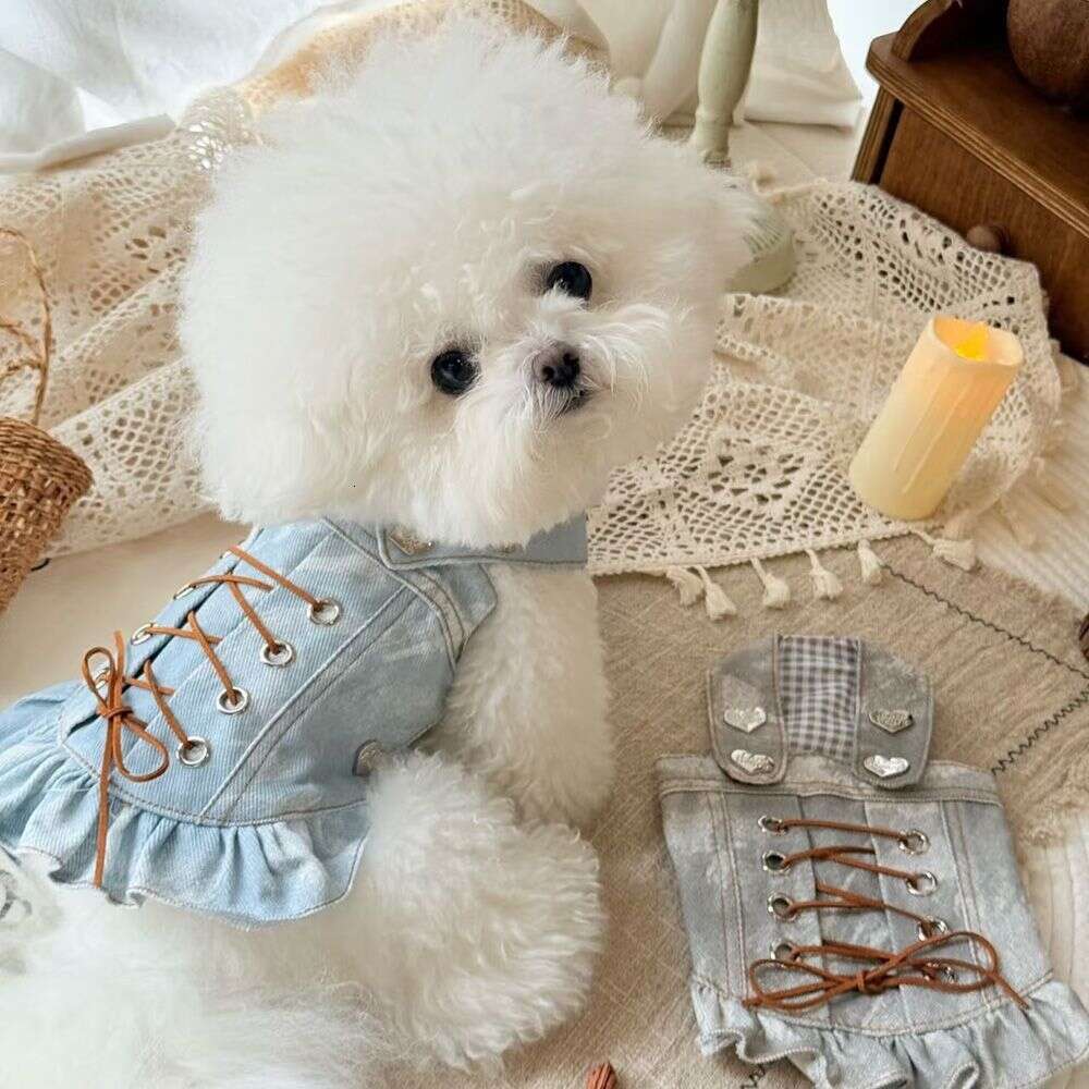 Famous brand Style Dog Cat Clothes Pet Princess Dress Teddy Maltese Small Dogs Spring Summer pupakaIK