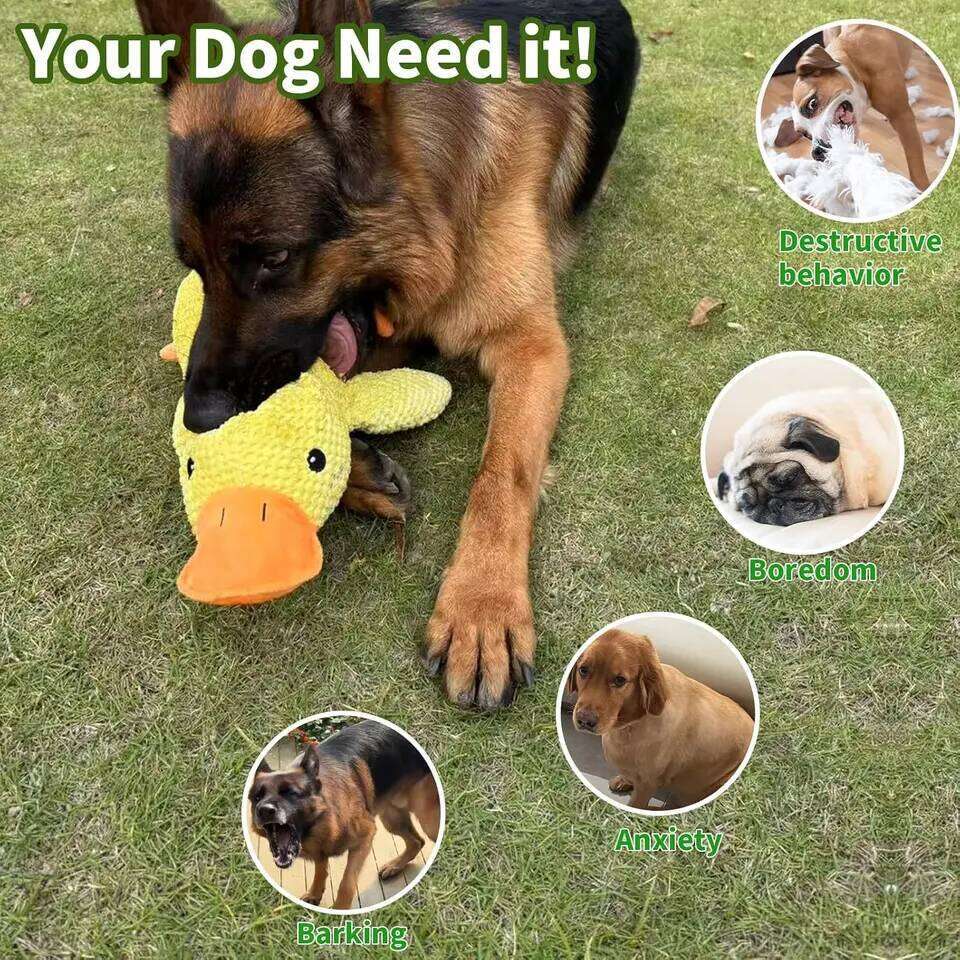 Famous brand Duck plush chew resistant durable toy with quacking sound teeth grinding relief soft companion for small large dog pupakaIK