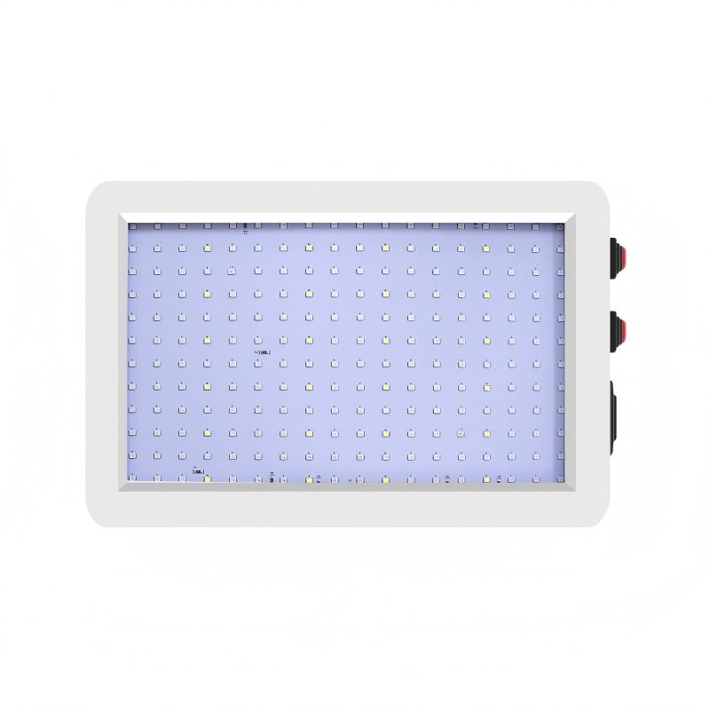 Durable Waterproof LED Lighting System: Optimal Environment for Growing All Types of Crops(Order SVIP Payment ONLY)