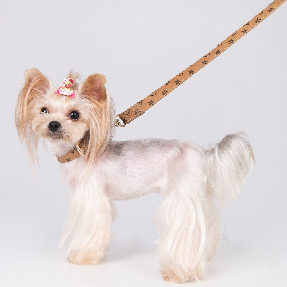 Dog Collar Designer For Cat And Dog Skin Friendly Non Slip Necklet Set Leash Rope Pet Daily Walking Fashion Accessories