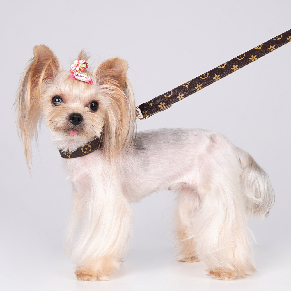 Dog Collar Designer For Cat And Dog Skin Friendly Non Slip Necklet Set Leash Rope Pet Daily Walking Fashion Accessories