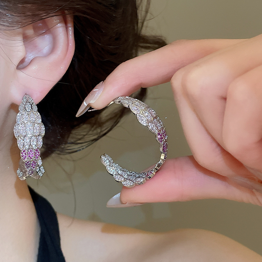 European and American fashion full-diamond niche high-end micro-inlaid zirconia earrings, retro trendy light luxury style silver needle earrings - view 4