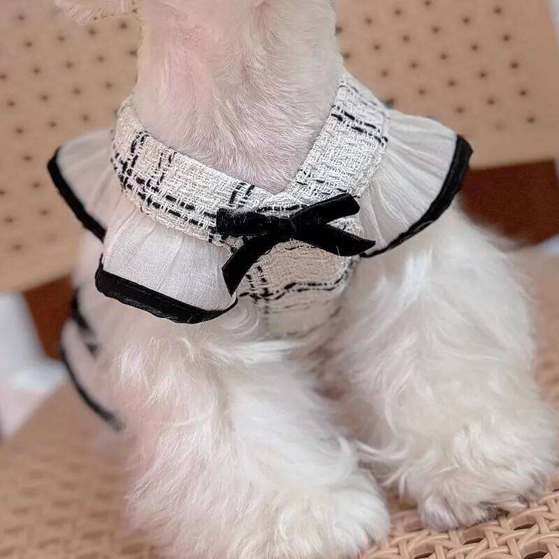 Luxury Harness For Chihuahua Small Puppy Dog Leash And Collar Set Pet Outside Walking Vest Dress Cat Animal Accessories Designer Bamubi