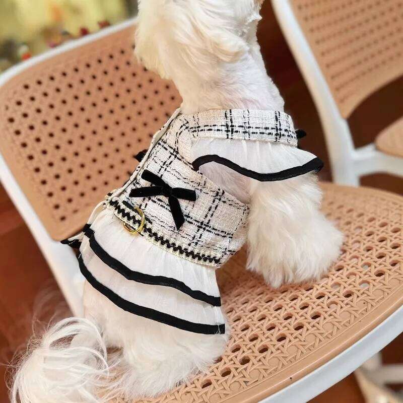 Luxury Harness For Chihuahua Small Puppy Dog Leash And Collar Set Pet Outside Walking Vest Dress Cat Animal Accessories Designer Bamubi