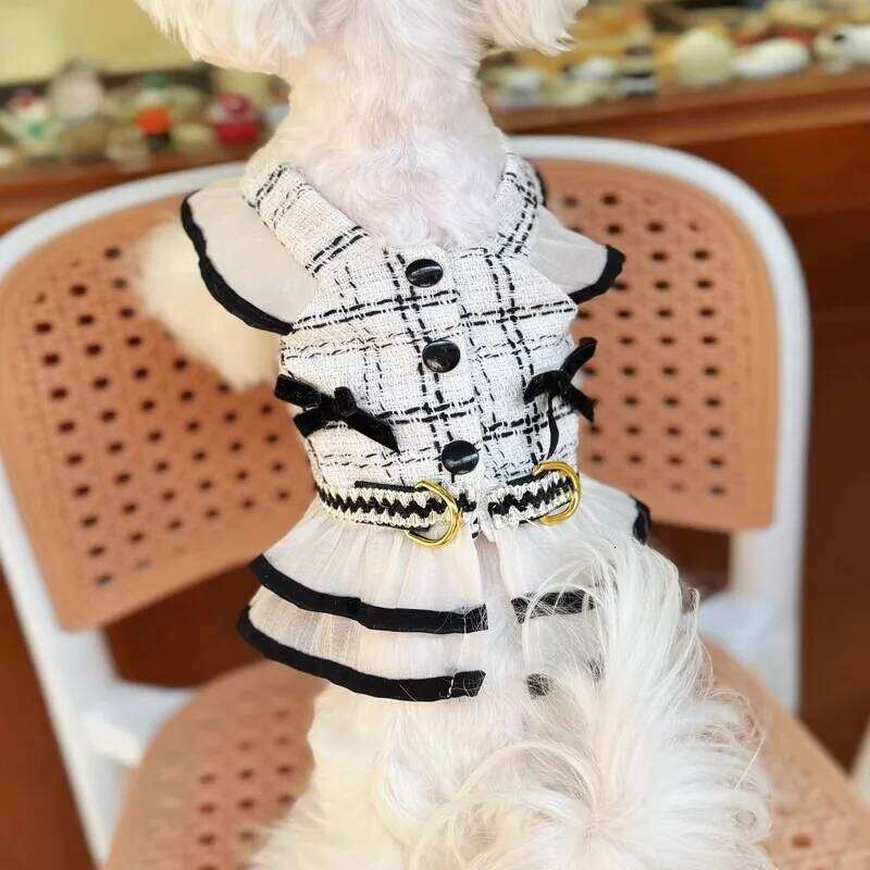 Luxury Harness For Chihuahua Small Puppy Dog Leash And Collar Set Pet Outside Walking Vest Dress Cat Animal Accessories Designer Bamubi
