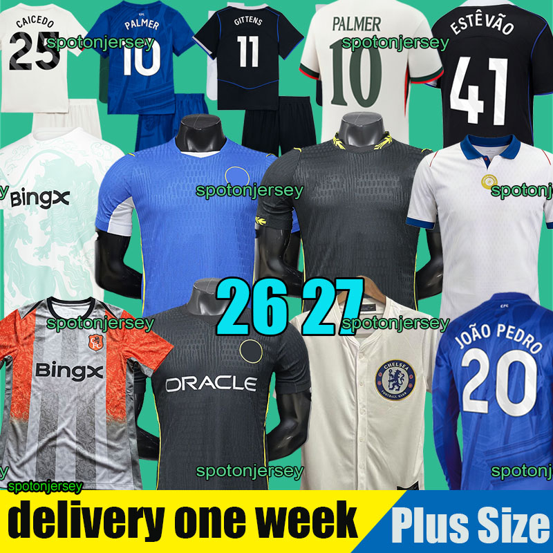 CFC chelseaa soccer jersey 25 26 chelseaajersey chelsa football shirt ENZO GARNACHO PALMER DELAP HATO MUDRYK NETO 2025 2026 men kids kit Pre-Match CAICEDO