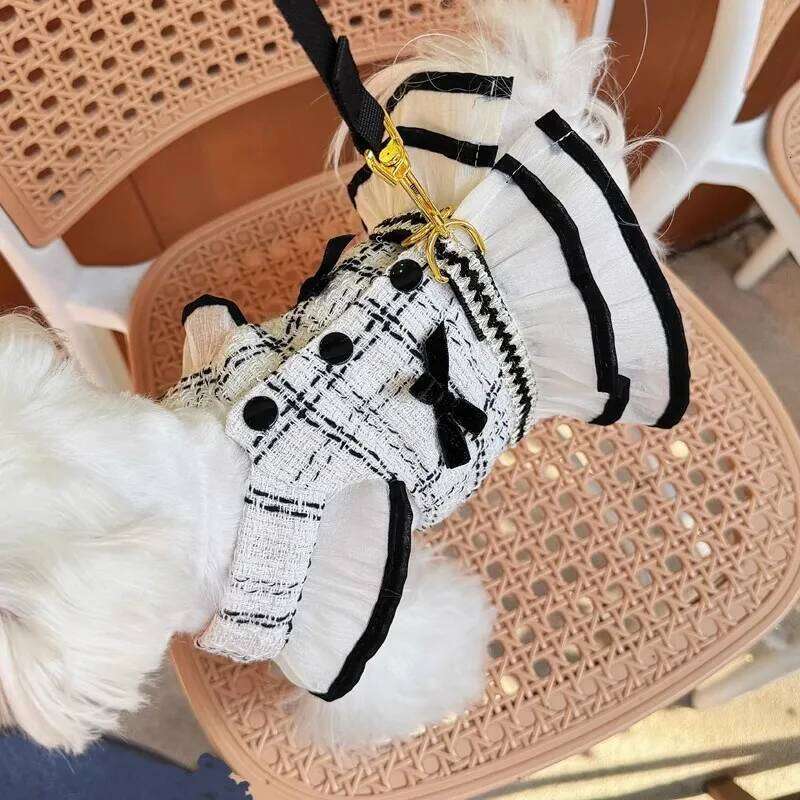 Luxury Harness For Chihuahua Small Puppy Dog Leash And Collar Set Pet Outside Walking Vest Dress Cat Animal Accessories Designer Bamubi