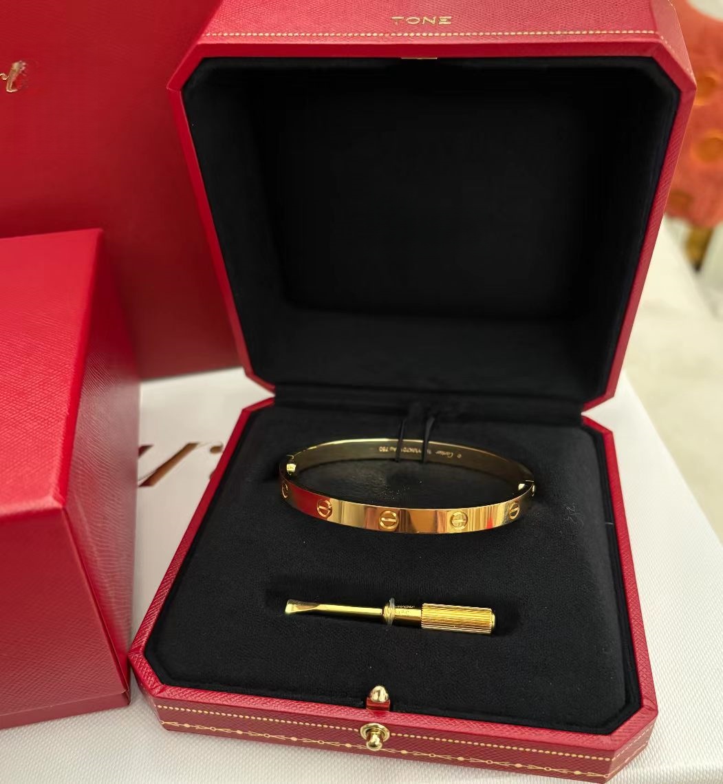 Designer Bracelet Luxury Bracelets Jewelry Charm Bangle Silver Gold Rose Stainless Steel Jewellery Diamond Braclet Love Braceletes Free shipping