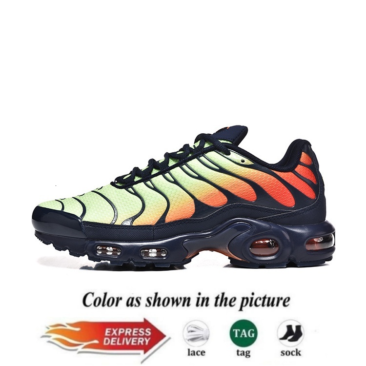tn Plus tn tns tnss chaussures designer shoes running shoes men womens Trainers Sneakers reflective Triple White midnight navy Tennis Breathable Men s