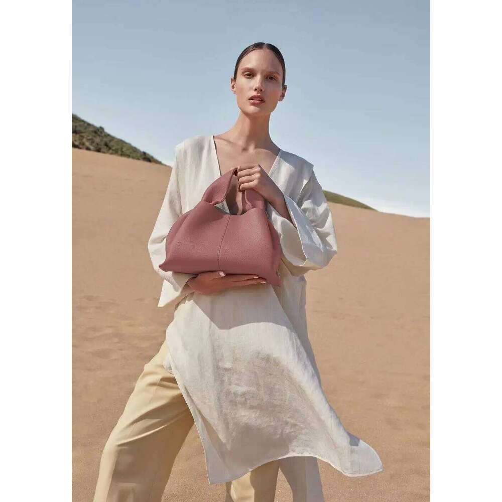Pol Cloud Bag Niche Light Luxury French Leather Handbag One Shoulder Crossbody Fashion Women
