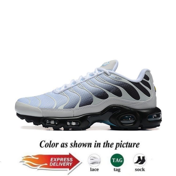 tn Plus tn tns tnss chaussures designer shoes running shoes men womens Trainers Sneakers reflective Triple White midnight navy Tennis Breathable Men s