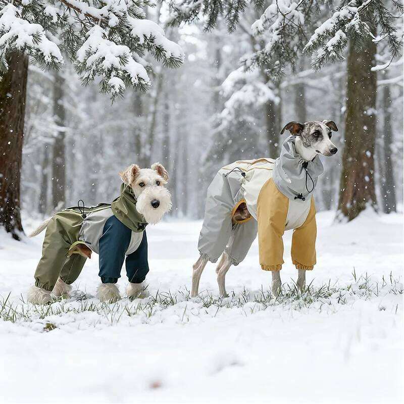 Famous brand Pet Outdoor Cold Proof Clothing With Waterproof Cotton Jacket For Autumn Winter Four Leg Protection Suit Dog Warm Snow Outfit pupakaIK