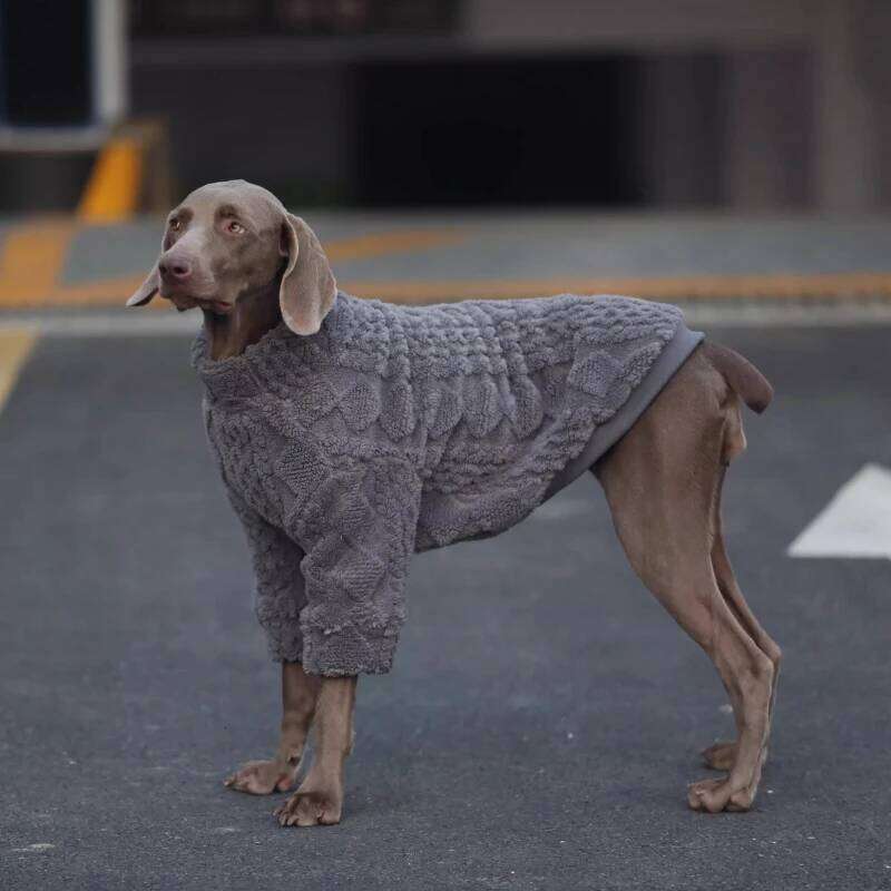 Famous brand Winter Clothes Coat Poodle Schnauzer Border Collie Samoyed Husky Labrador Golden Retriever Dobermann Big Dog Clothing Pajama pupakaIK