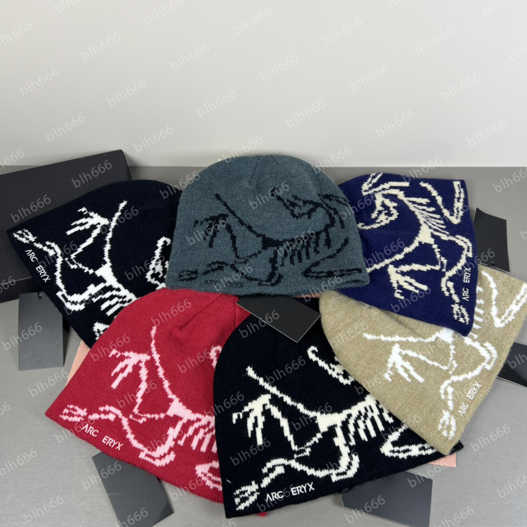 Classic beanie designer wool hat luxury cashmere hat embroidered ancient bird pattern street fashion brand arc beanie autumn and winter warm ski hats