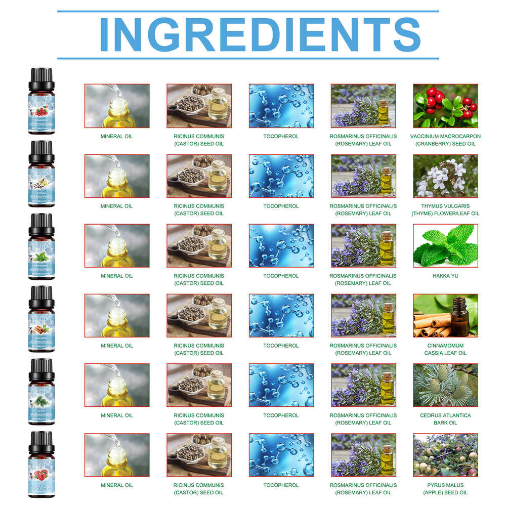 Aromatherapy Set Humidifier Essential Oil Fresh Air Winter Indoor Warmth S260202