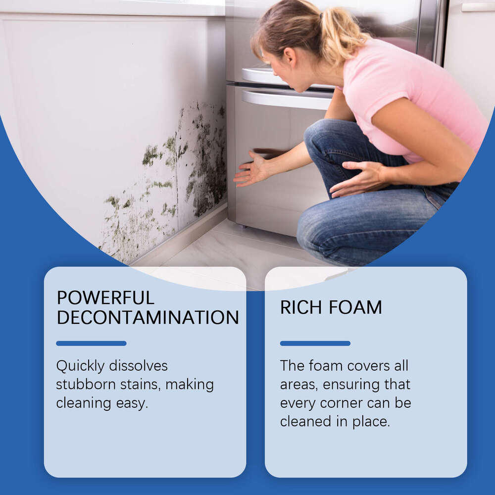 Stain Removal Foam Multi-Purpose Household Cleaner for Moldy Walls and Tiles S260202
