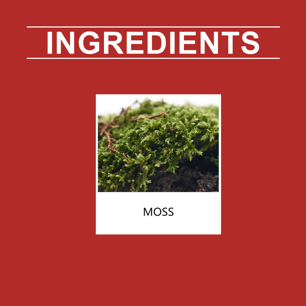 MoonSpry Multi-Purpose Moss Gardening Surface Micro-Landscape Landscaping Green DIY Potted Plant Decoration Material S260202