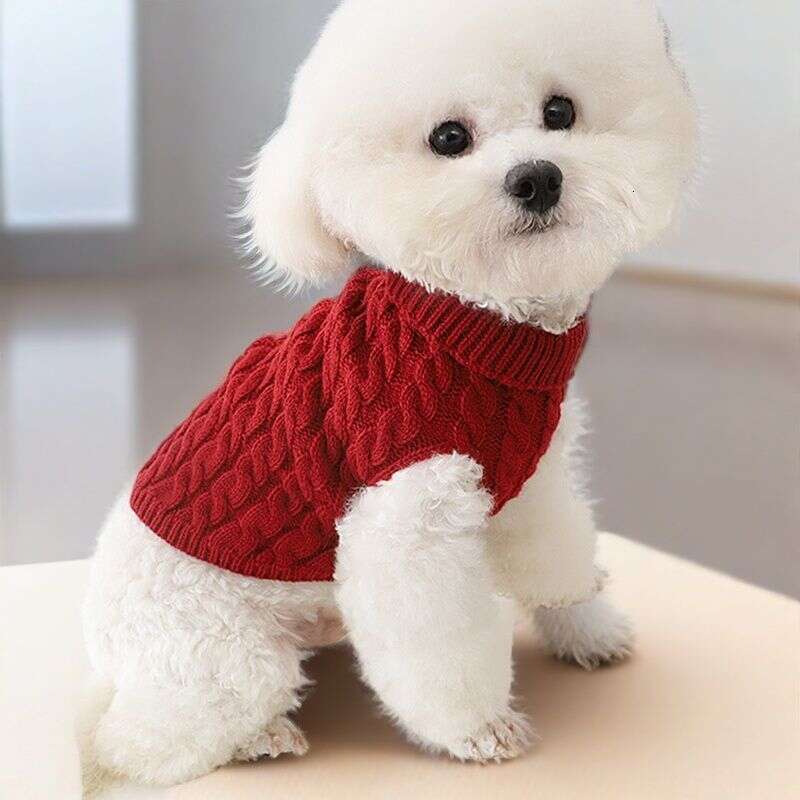 Winter Fashion Solid Color Small & Teddy Dog Sweater Pet Puppy Clothes