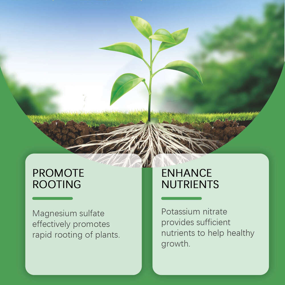 MoonSpry Nutrient Solution for Flowers, Potted Plants, Lawns, Green Leaves, Universal Root Growth Plant Nutrition S260202