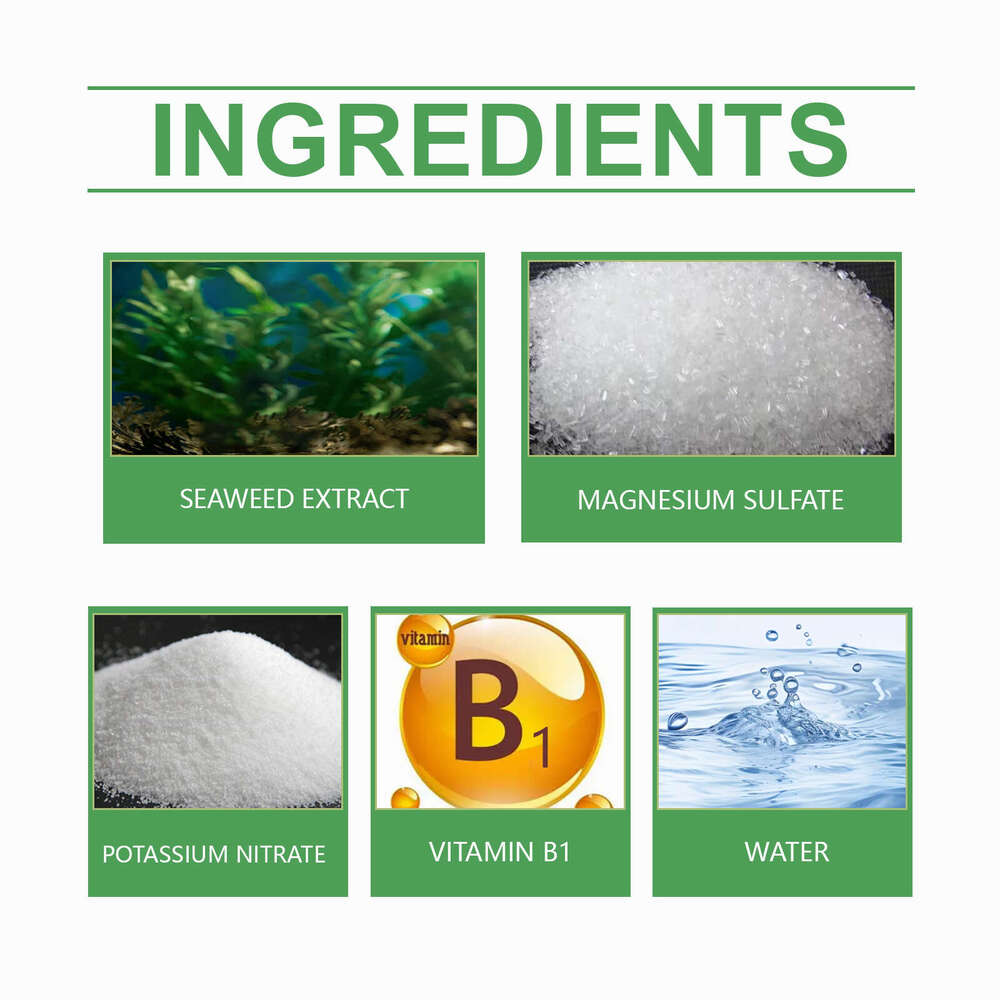 MoonSpry Nutrient Solution for Flowers, Potted Plants, Lawns, Green Leaves, Universal Root Growth Plant Nutrition S260202