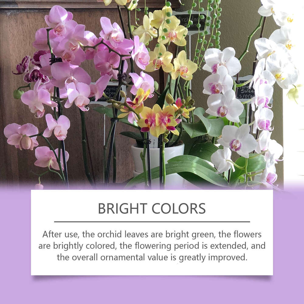 MoonSpry Growth Agent Flower Green Plant Special Nutrient for Orchid Potted Plants S260202