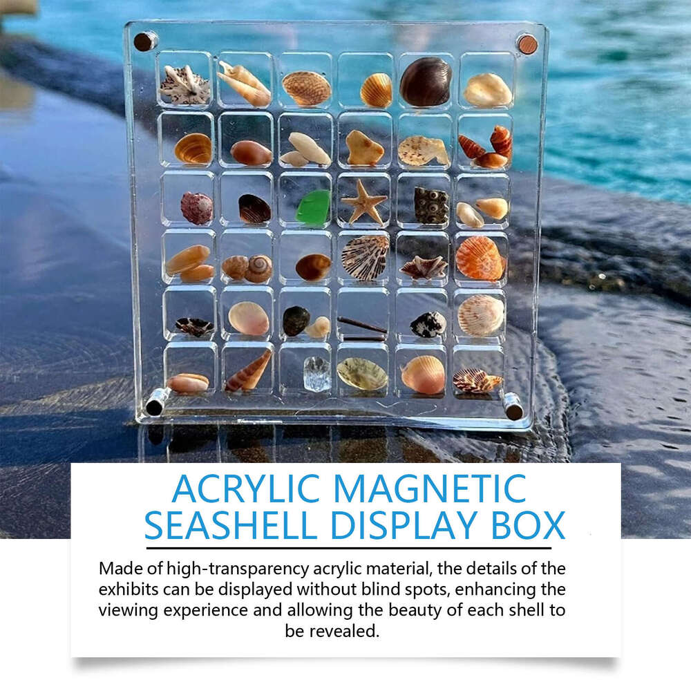 Fish Acrylic Magnetic Display Storage Decoration Shell Multi-functional Transparent Box S260202