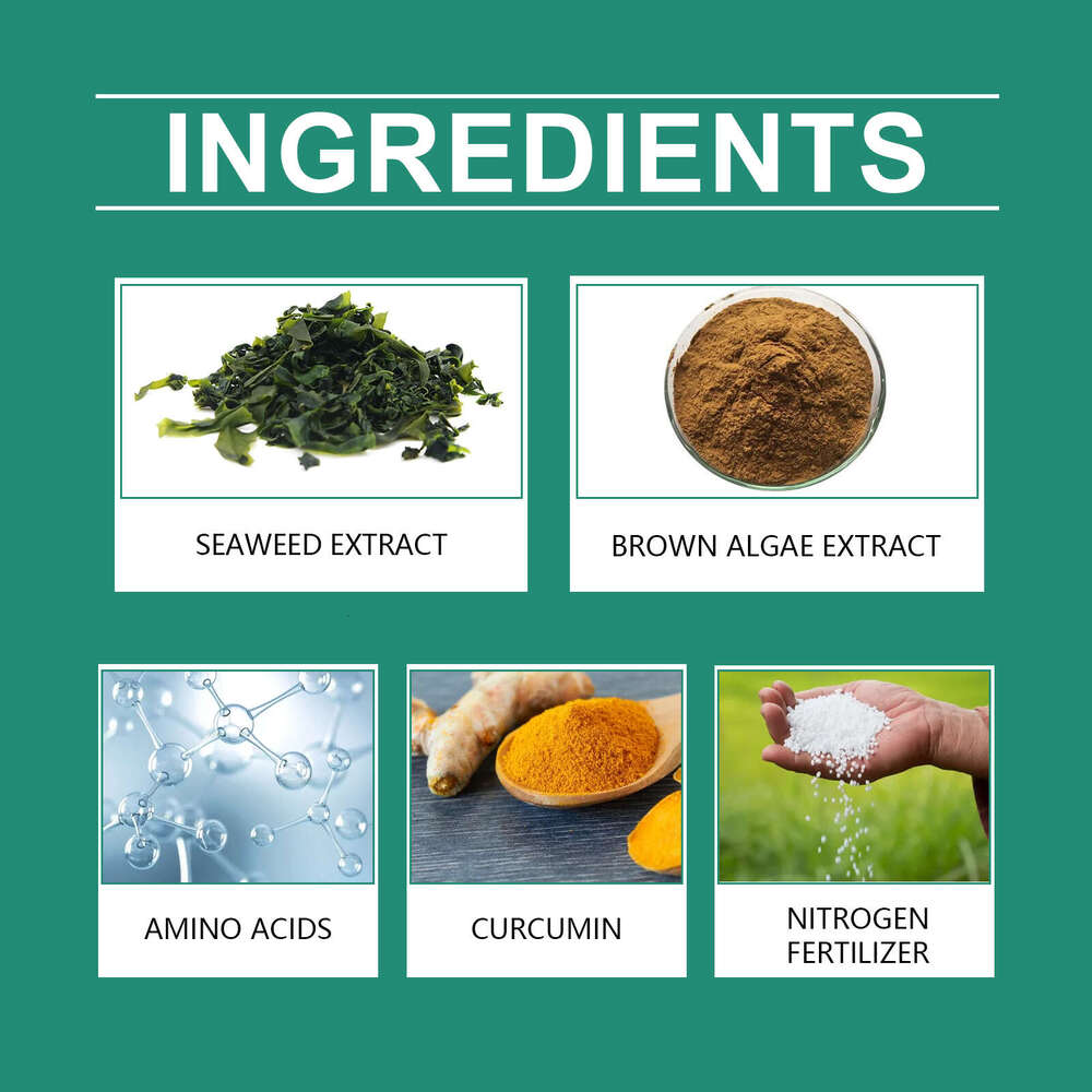 MoonSpry Slow Release Nutrient Seaweed Plant Growth Gardening Fertilizer Stick S260202