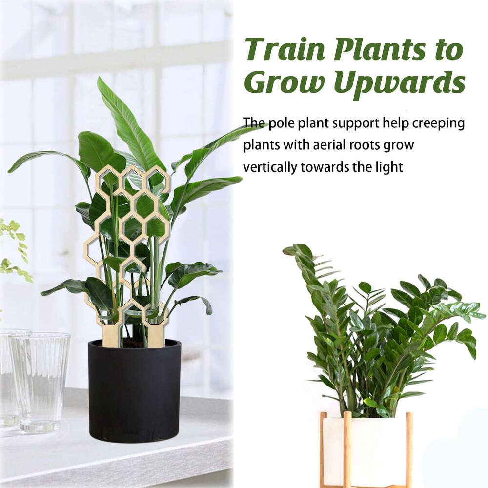 Garden Plant Trellis Home Wooden Potted Climbing Vine Rack Balcony Decoration Support Flower Insert Stand S260202
