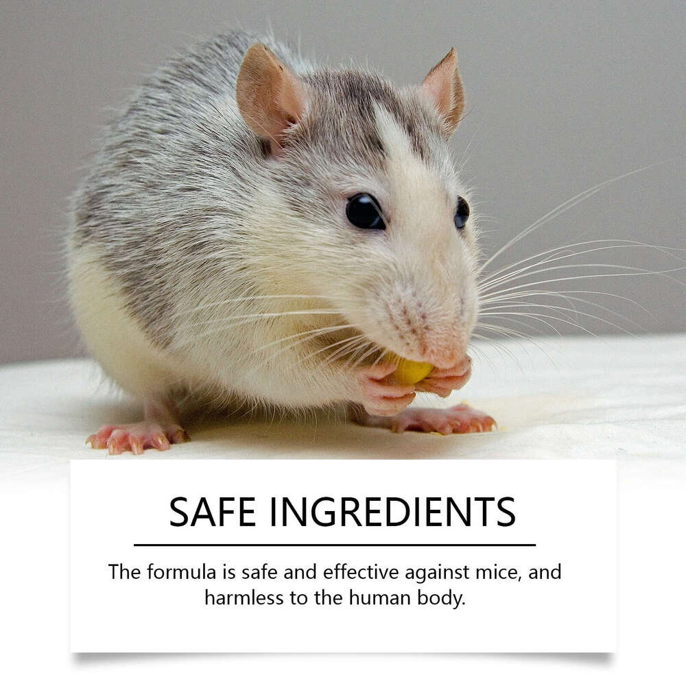 MoonSpry Mint Scented Home Outdoor Anti-Mouse Catcher Car Mouse Repellent S260202