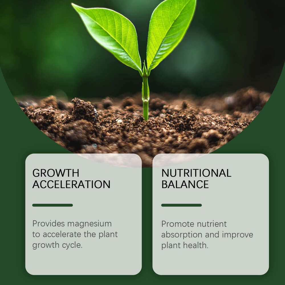 MoonSpry Powder Growth Nutrient Supplement Soil Conditioning Plant Fertilizer S260202