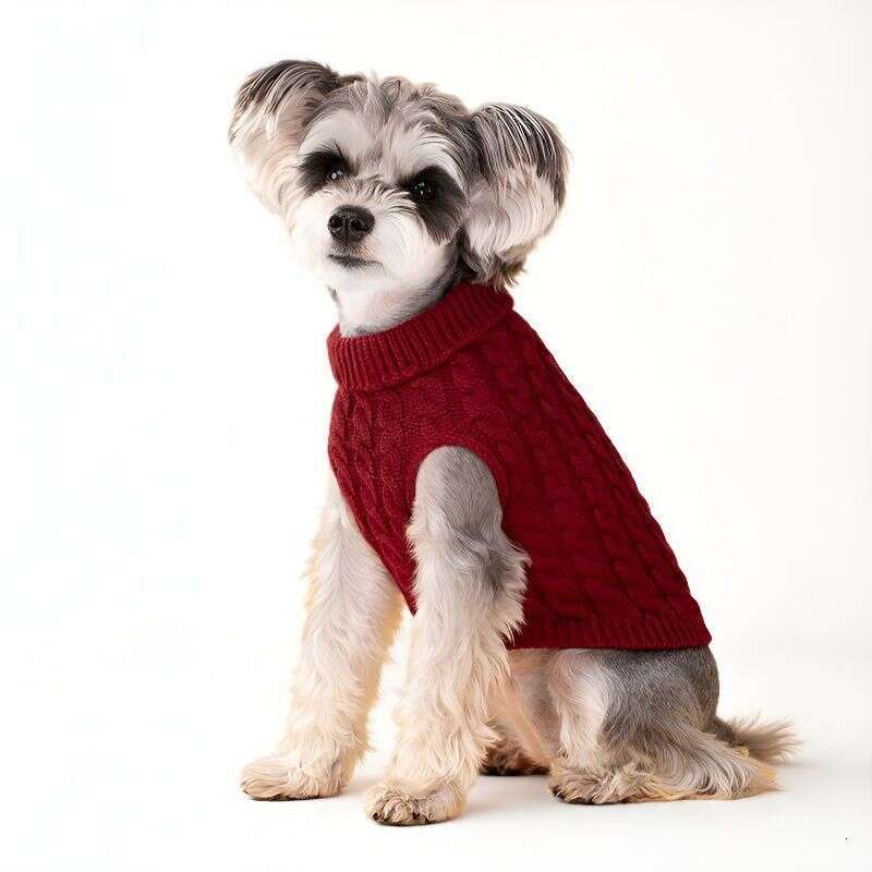 Winter Fashion Solid Color Small & Teddy Dog Sweater Pet Puppy Clothes