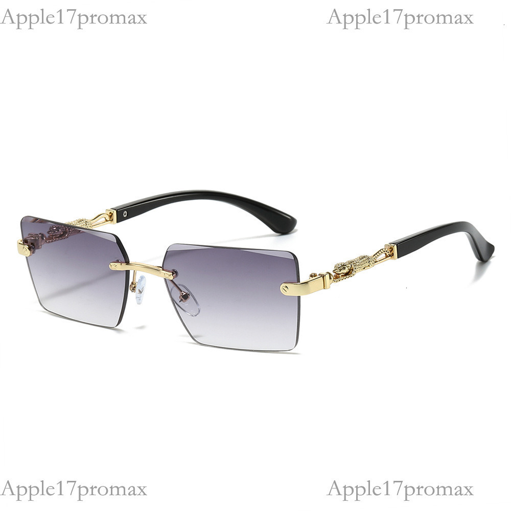 Luxury Brand Designer New Square Fashion Sunglasses European and American Style Frameless Leopard Decoration Personality Cut Edge PC Lens Sunglasses