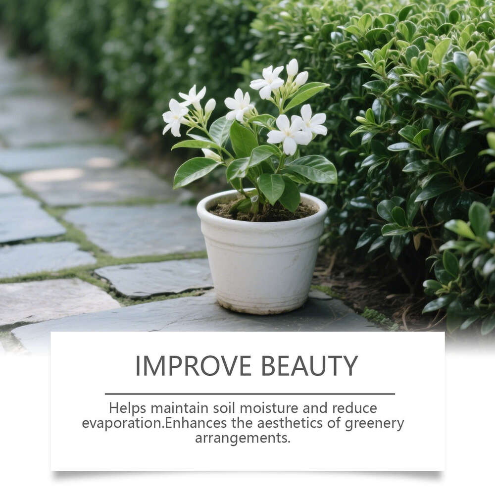 MoonSpry Multi-Purpose Moss Gardening Surface Micro-Landscape Landscaping Green DIY Potted Plant Decoration Material S260202