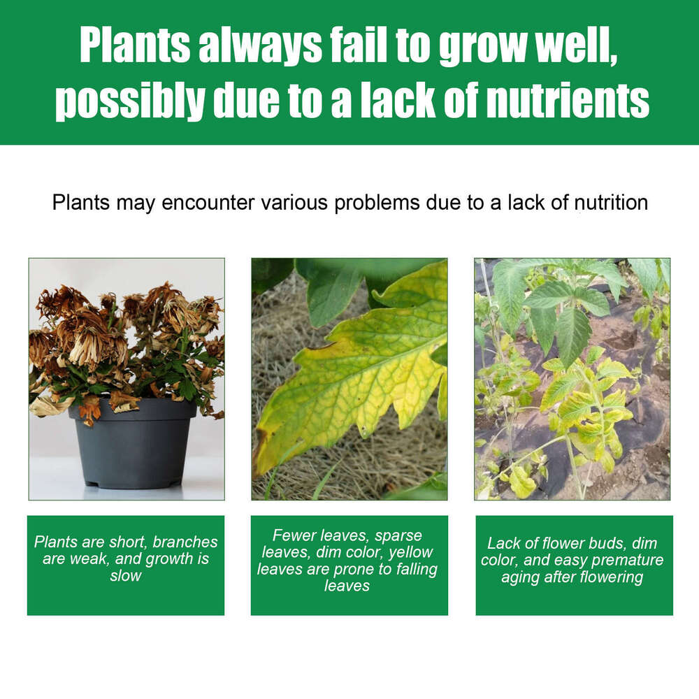 MoonSpry Coconut Coir Brick Set Plant Cultivation Growth Nutrient Soil Potted Grassland Flower Fertilizer S260202