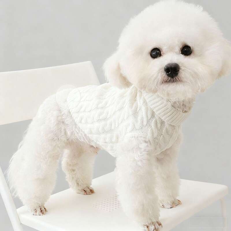 Winter Fashion Solid Color Small & Teddy Dog Sweater Pet Puppy Clothes