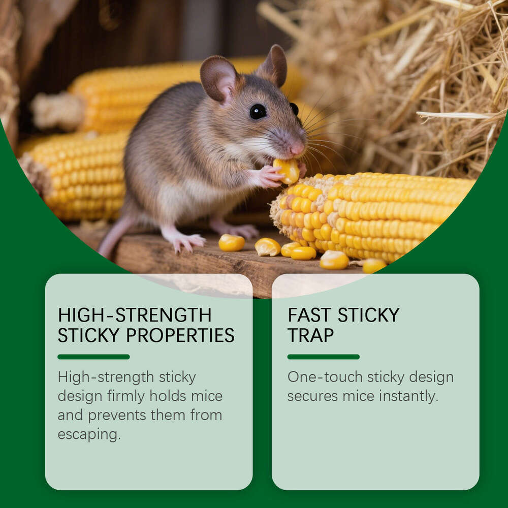 AMZ Household Sticky Board High Viscosity Instant Adhesion for Home and Warehouse Use Foldable Mouse Trap S260202