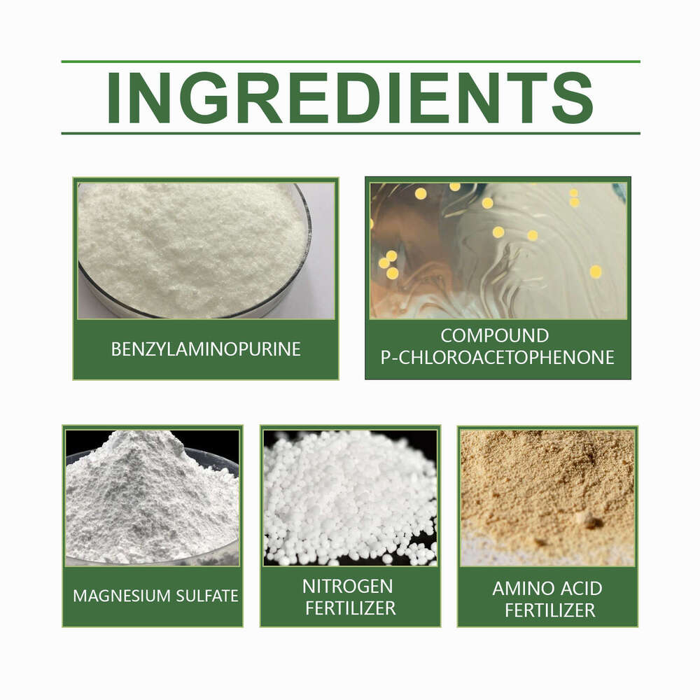 Moonspry Growth Flower Succulent Lawn Green Leaf Plant Concentrated Fertilizer Spray S260202