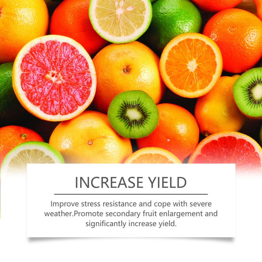 MoonSpry Fruit Growth Mild Granules Vegetable Planting Green Plant Fertilizer Nutrient S260202