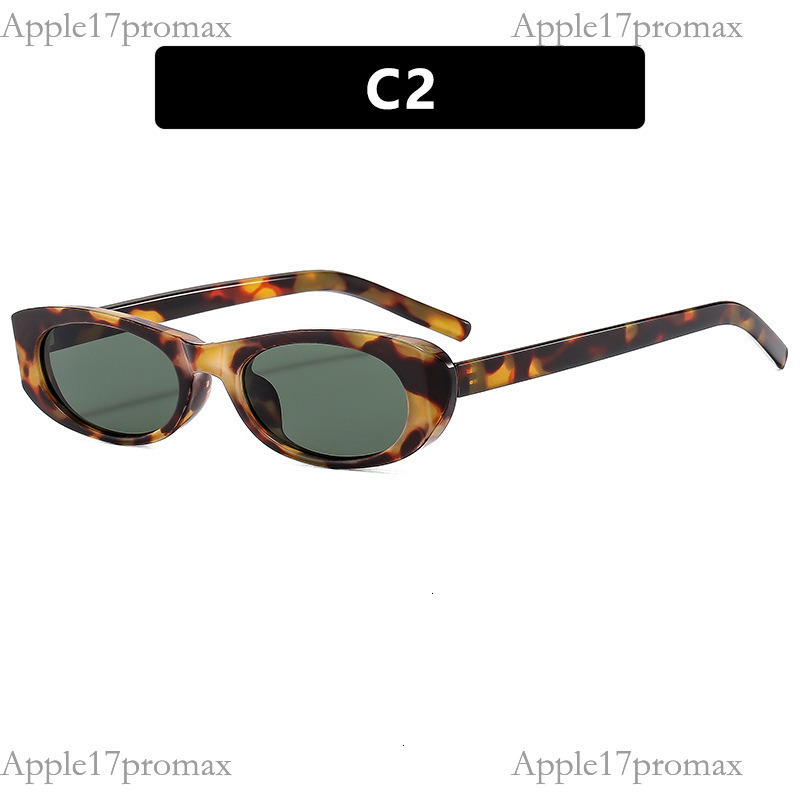 Luxury Brand Designer Oval Small Frame European And American Personality Fashion 2026 New Beach Sun Protection Seaside Sunglasses For Women - view 8