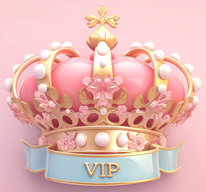 ZZ-WYJWYJ3 VIP Exclusive Payment Portal Orders Balance Top-Up & Express Shipping