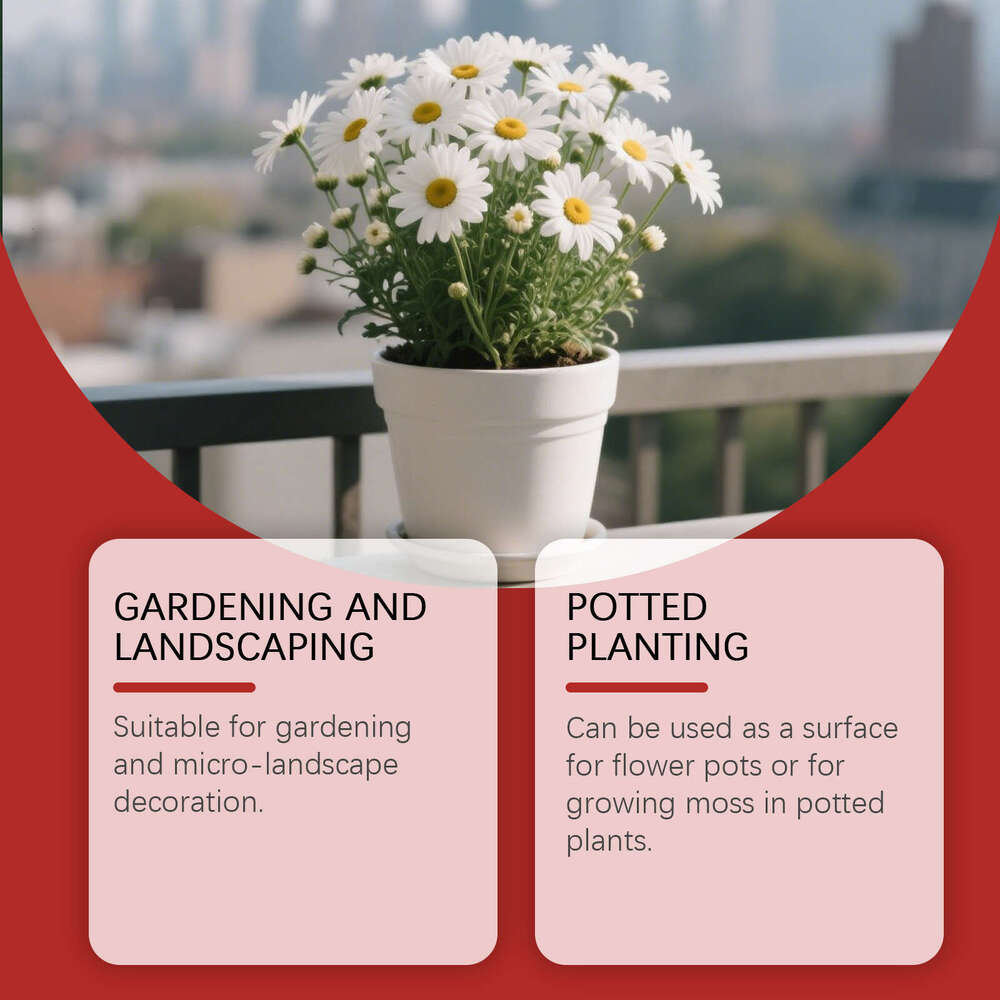 MoonSpry Multi-Purpose Moss Gardening Surface Micro-Landscape Landscaping Green DIY Potted Plant Decoration Material S260202