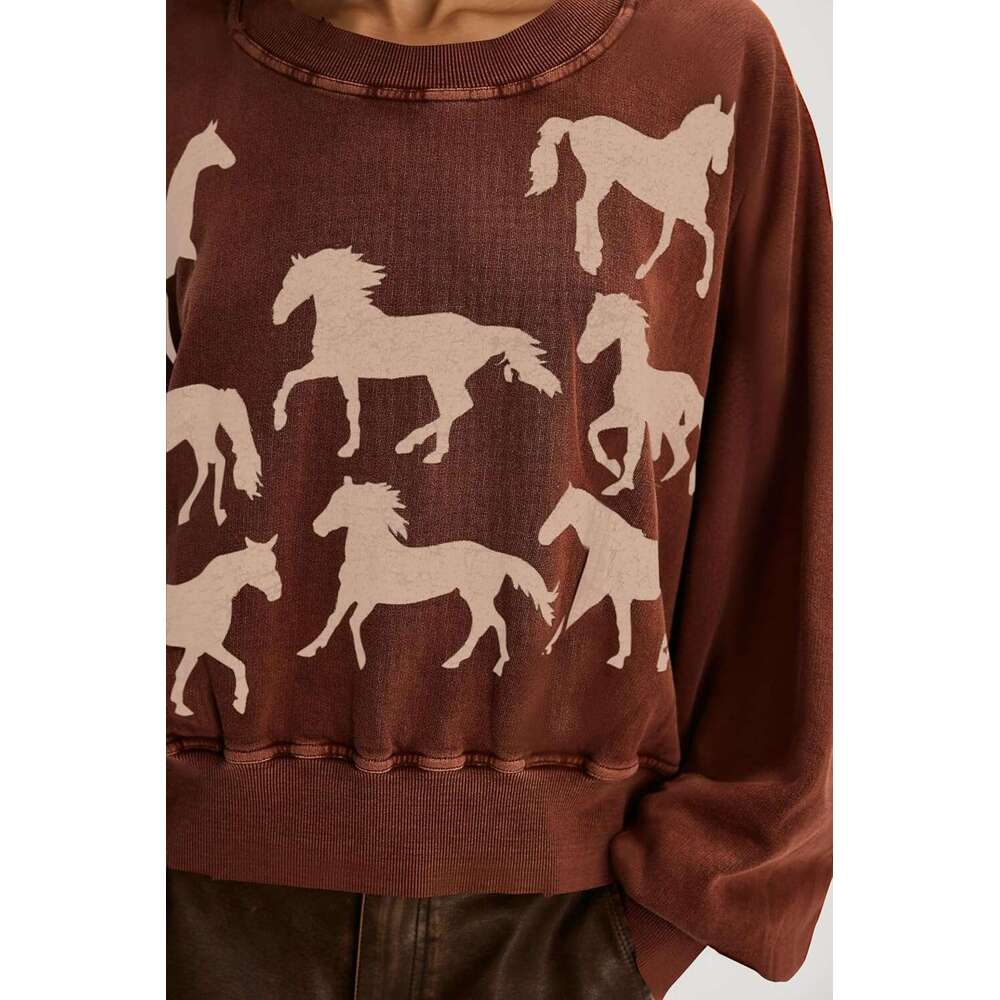 Women Cropped Sweatshirt Oversized Graphic Horse Print Crewneck Long Sleeve Pullover Casual Loose Fall Y2k Crop Tops - view 4