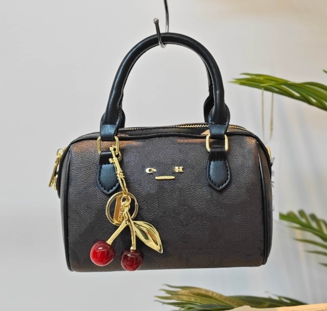 2026 Designer bags Sacoche tote bag women shopping handbag leather ROWAN 18CM crossbody bags coas Pillow Clutch wallet Hobo purses lady Satchels