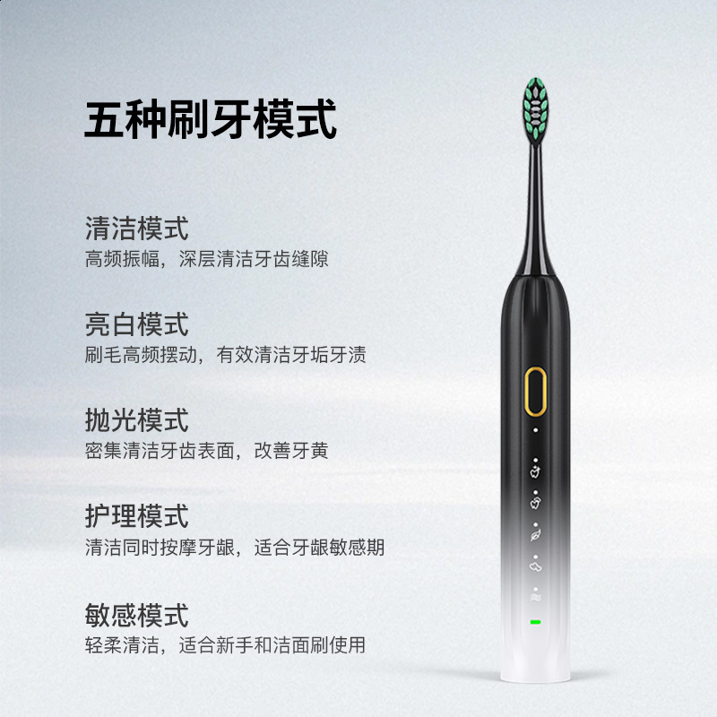 Roman Column Rechargeable Adult Electric Toothbrush 5Speed Intelligent Soft Bristle Household Magnetic Levitation 8Level Waterproof Sonic 250519